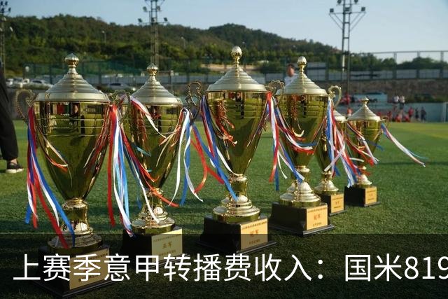 上赛季意甲转播费收入：国米8198万欧元最高，米兰第二尤文第五