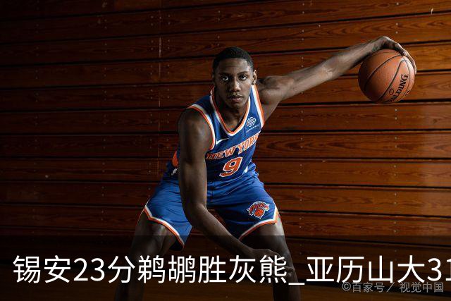 锡安23分鹈鹕胜灰熊 亚历山大31+10雷霆屠公牛